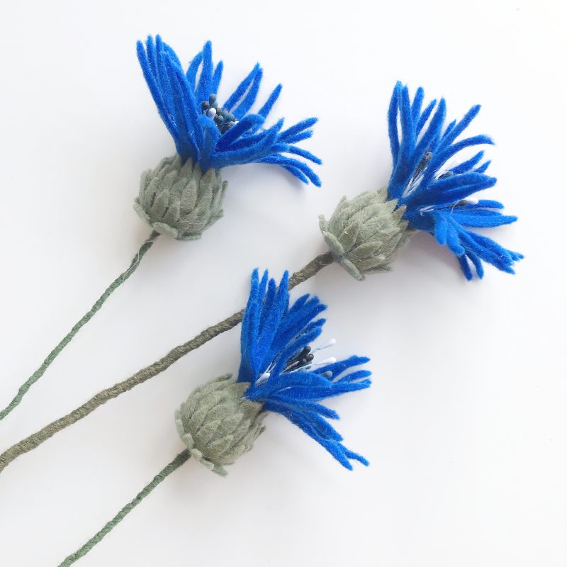 Wilde Korenbloem