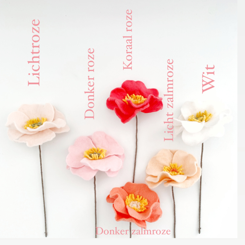 Verlengen toegang workshop Papaver
