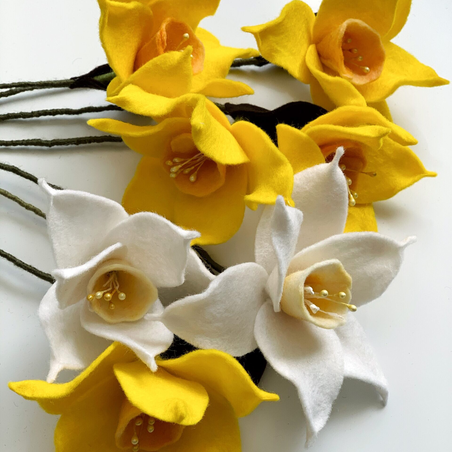 Narcis