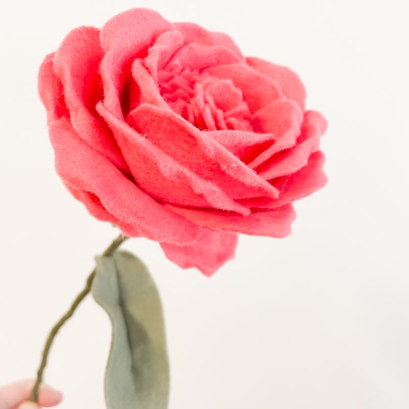 Online workshop Pioenroos - Afbeelding 3