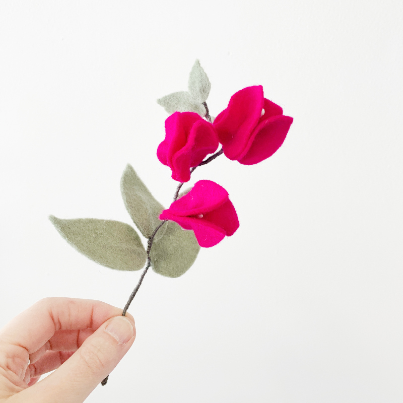 Bougainvillea 20 november - Afbeelding 2
