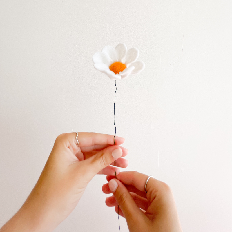 Margrietjes en Bladgroen - Afbeelding 2