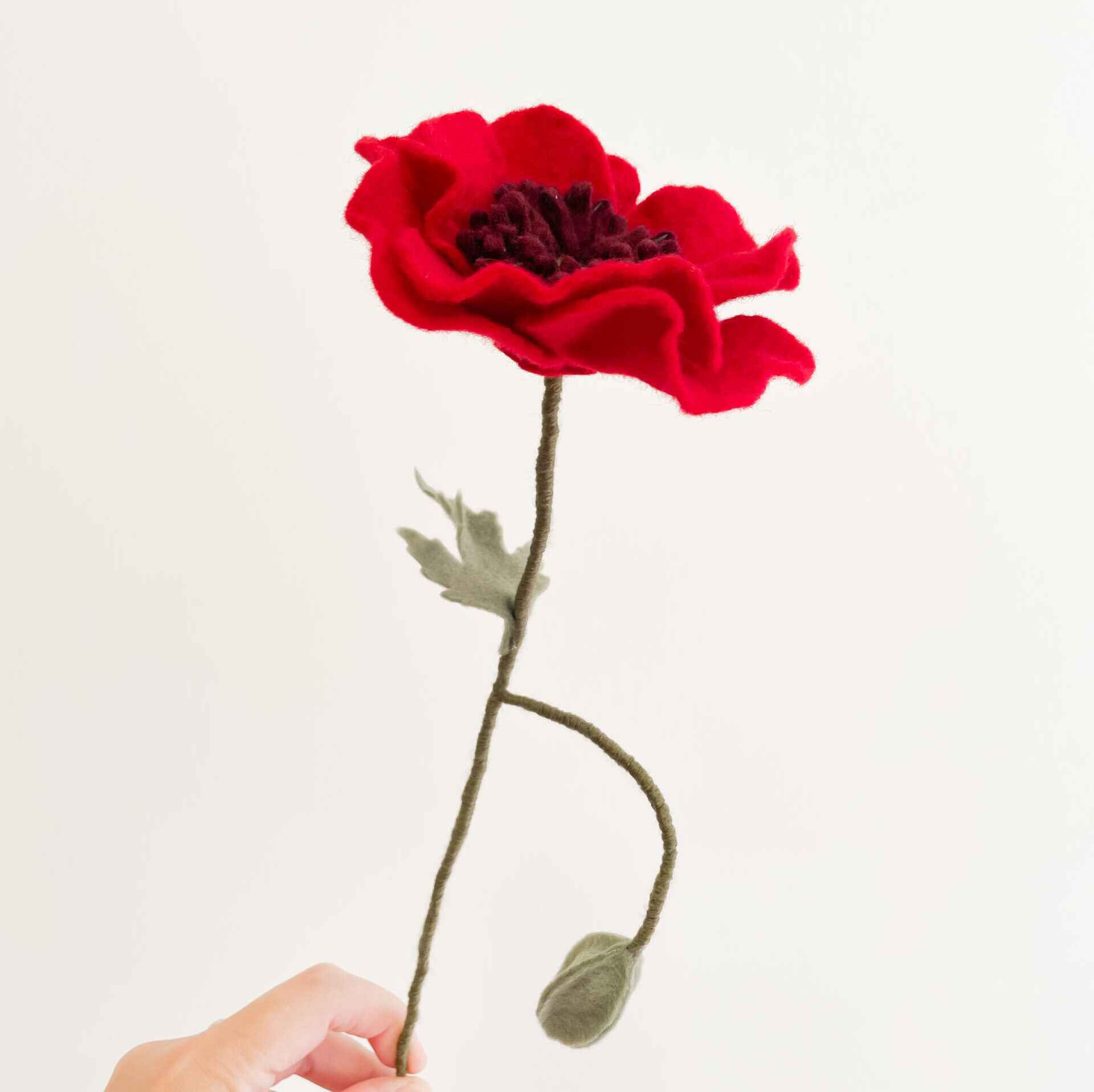 Workshop Papaver