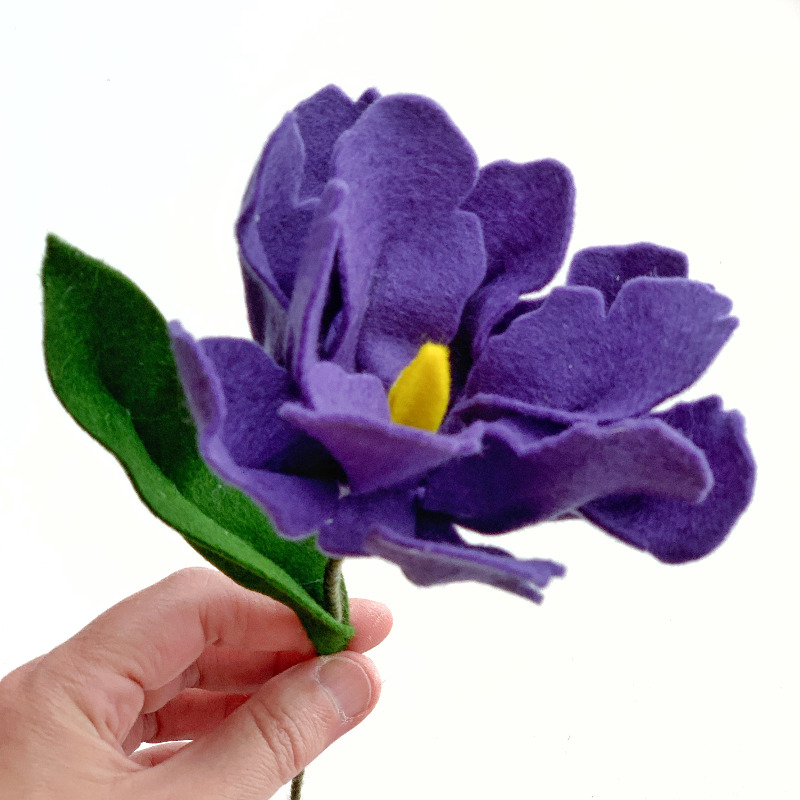 Franse tulp 27 november - Afbeelding 4