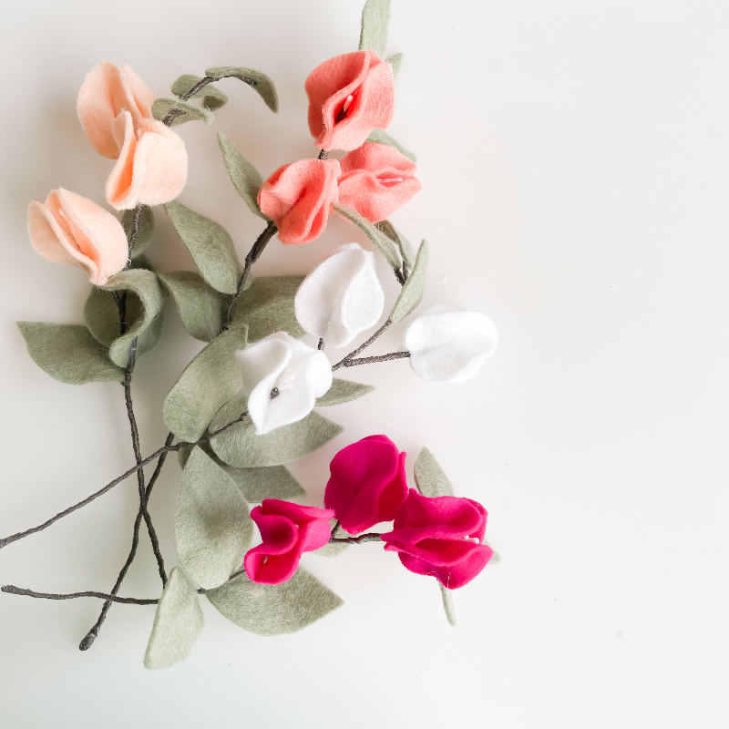 Online workshop bougainville