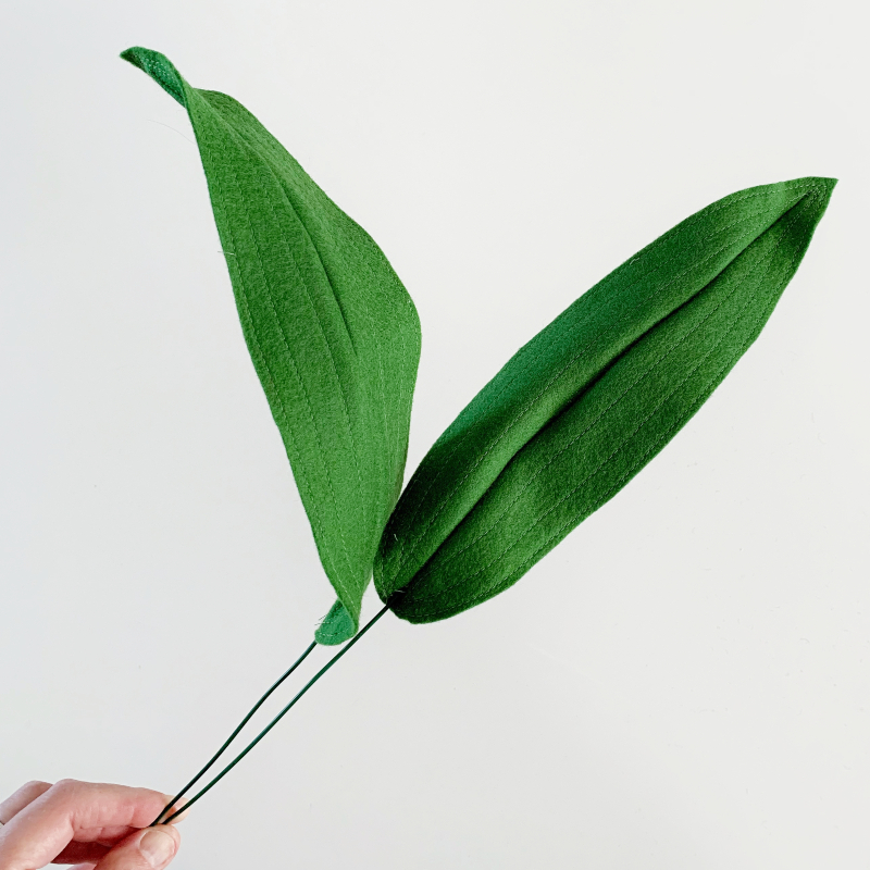 Online workshop Aspidistra