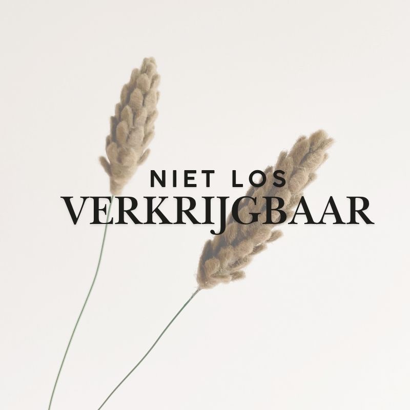 Aar online workshop (niet los verkrijgbaar)