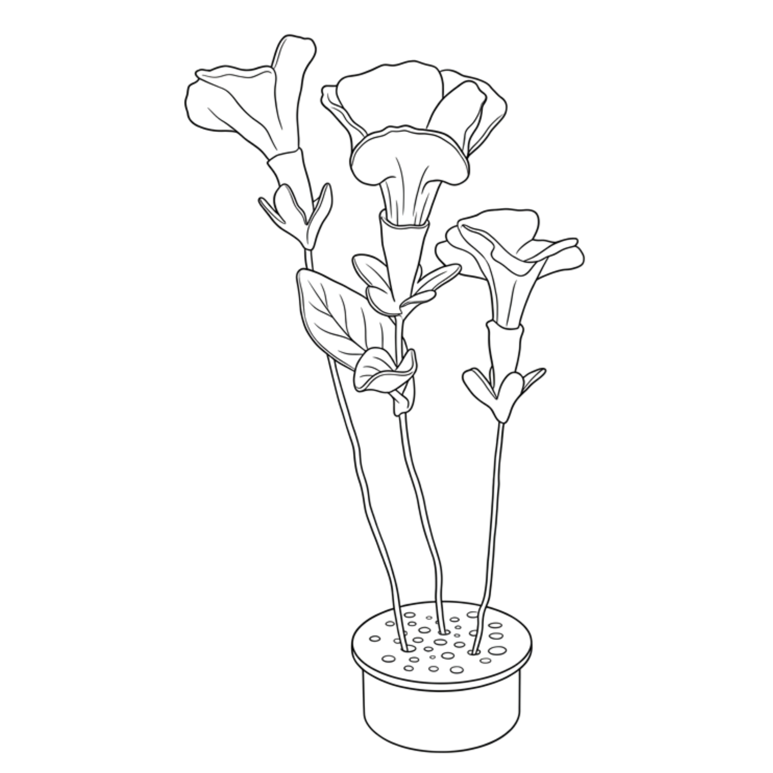 model 1 a met petunias lijntekening