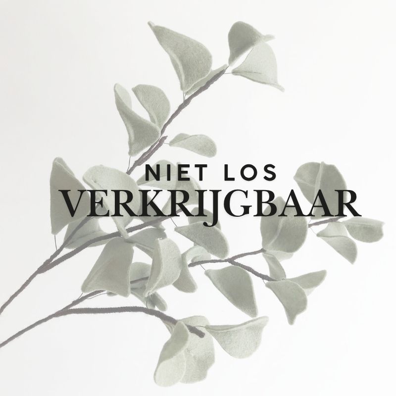 Silver Dollar Eucalyptus online workshop (niet los verkrijgbaar)