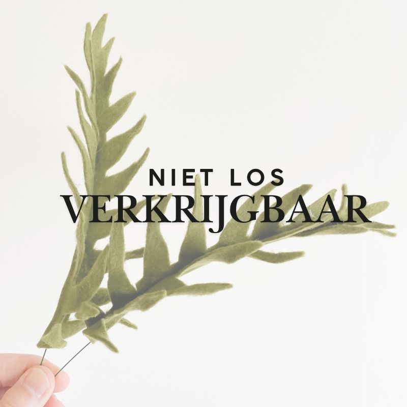 Varen online workshop (niet los verkrijgbaar)